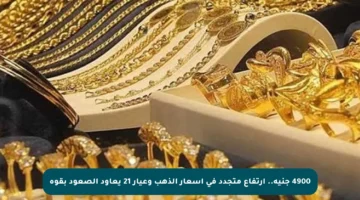 4900 جنيه.. ارتفاع متجدد في أسعار الذهب وعيار 21 يعاود الصعود بقوة